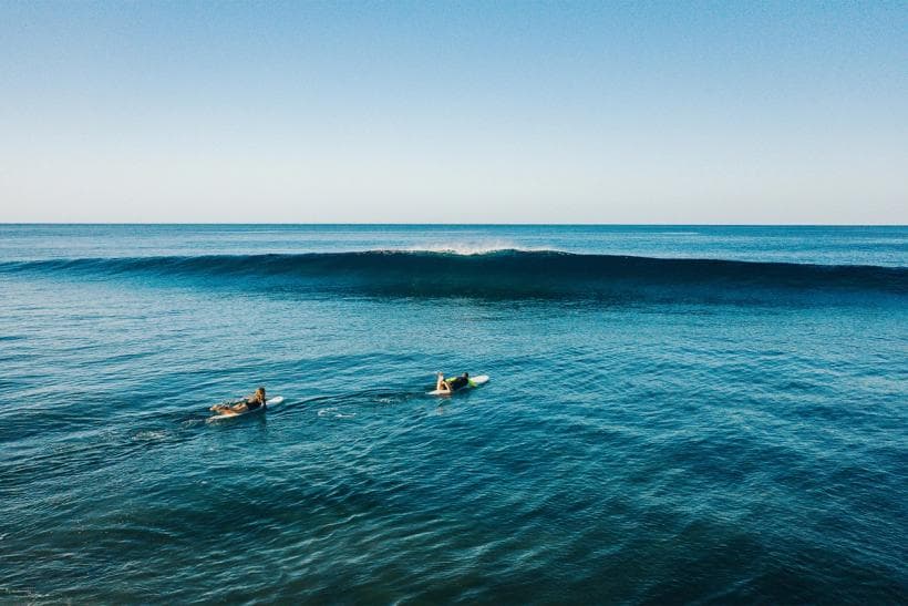 Paddle, Paddle, Paddle!