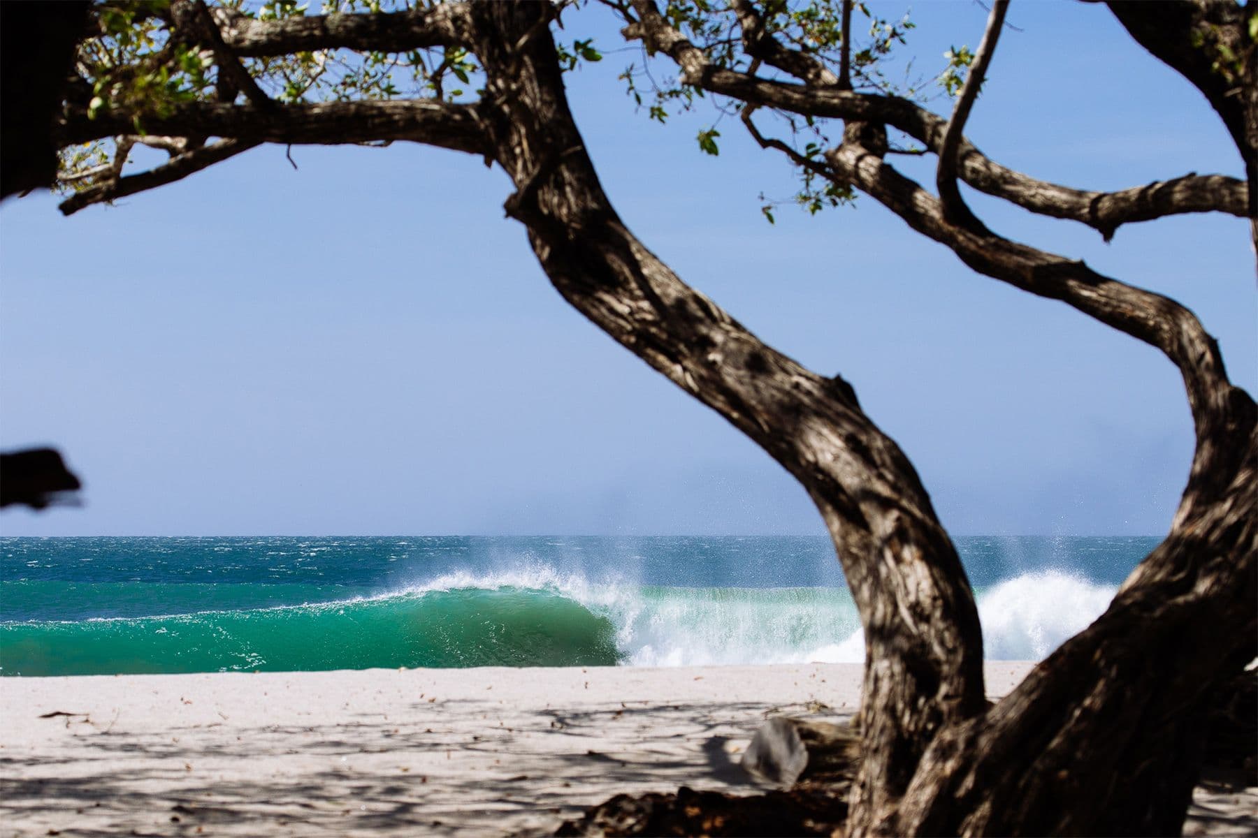 breaking wave in nicaragua by callum morse